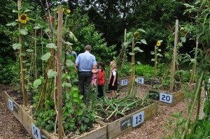 community garden
